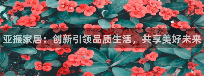 安信12怎么下载