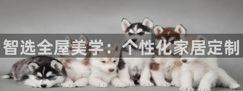 安信12是正轨网站吗