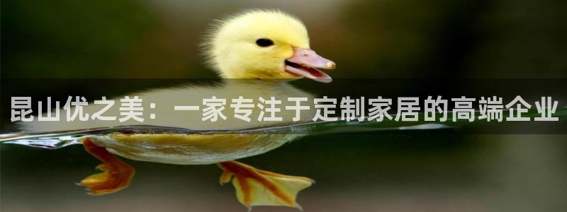 下载安信12