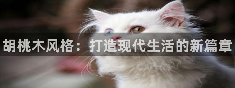 安信12级粉丝团福利