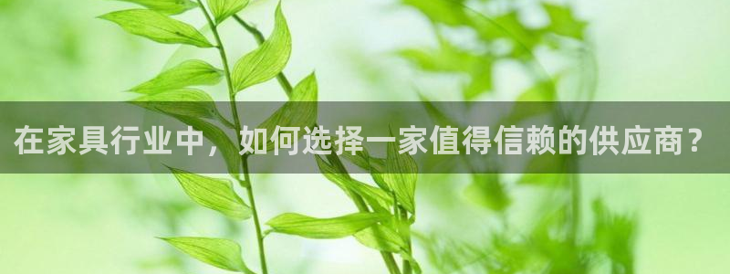 安信12负责人