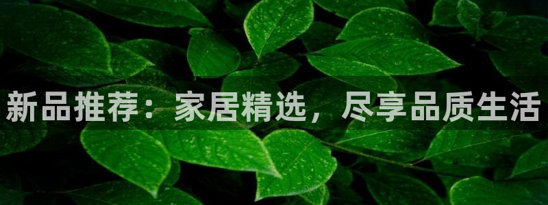 安信12官网