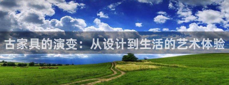 安信12是什么