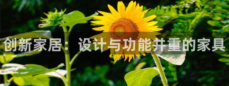 下载安信12