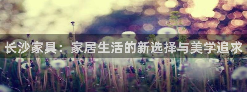安信12网页版
