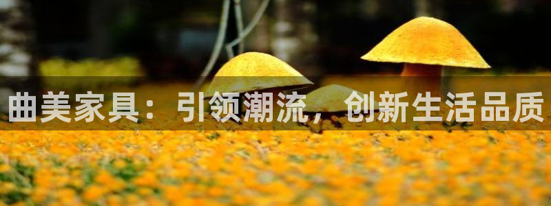 安信12娱乐：曲美家具：引领潮流，创新生活品质