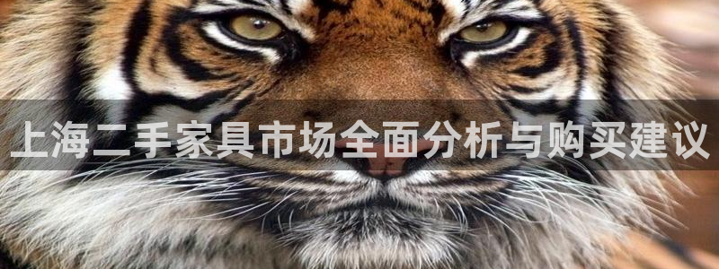 安信12官网qq：上海二手家具市场全面分析与购买建议