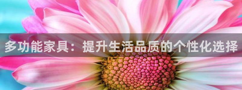 安信312 12
