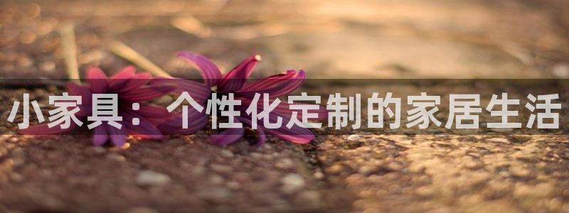 安信12是做什么