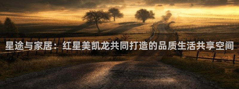 安信12级灯牌