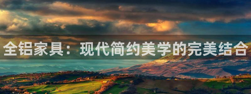 安信证券手机壳12