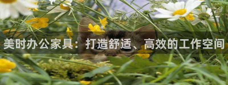 安信12娱乐主管