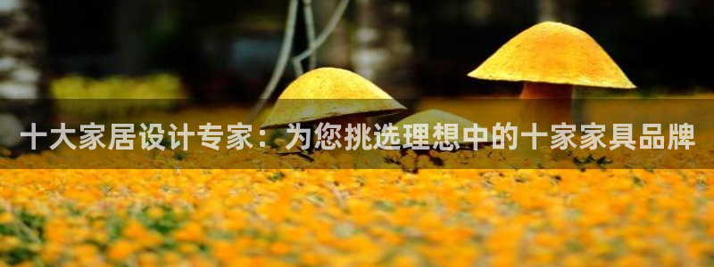 安信12娱乐开户