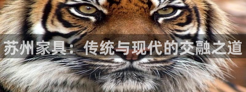 安信12彩票app下载