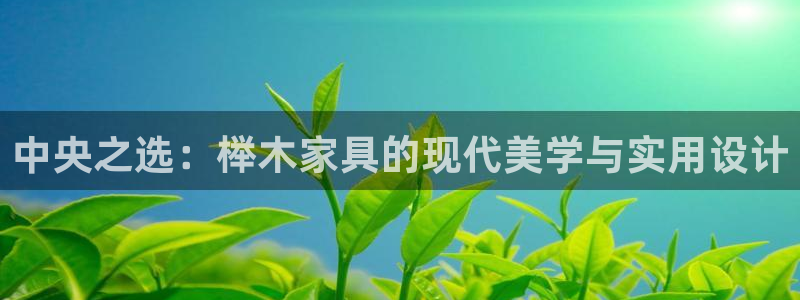 安信12赛车