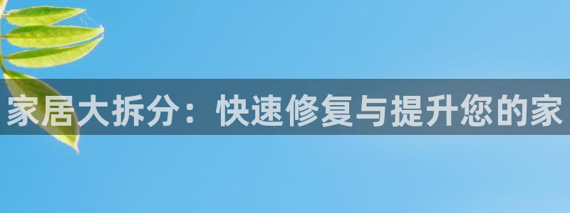 安信12周年