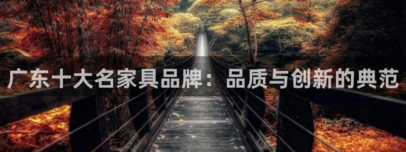 安信12是正规平台吗