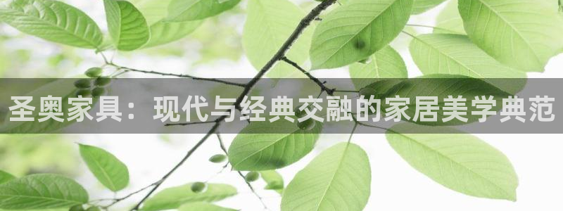 安信12平台开户