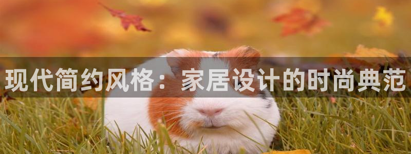 安信12官网qq