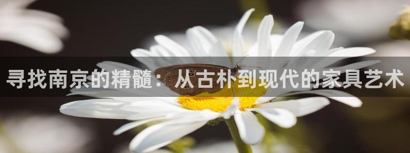 安信12负责人