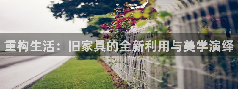 安信12平台