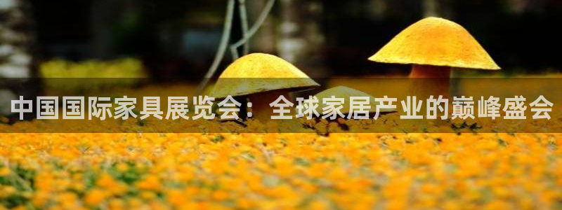 安信12官网qq