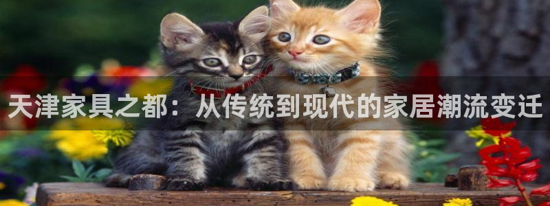 安信12是什么软件
