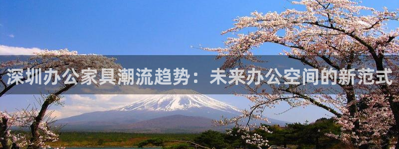 安信12周年庆典