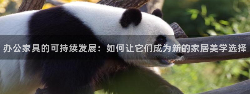 安信12官方下载