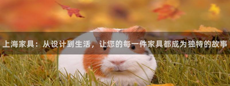 安信12官网qq