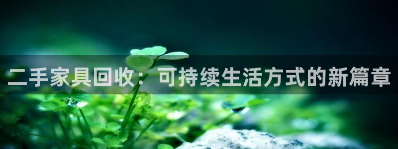 安信cwa12