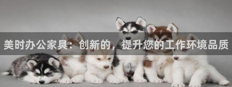 安卓12微信