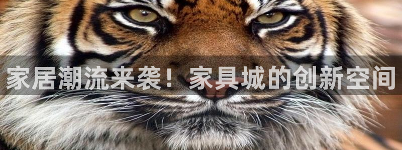 安信12专用挂机