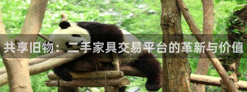 安信12是正规还是仿