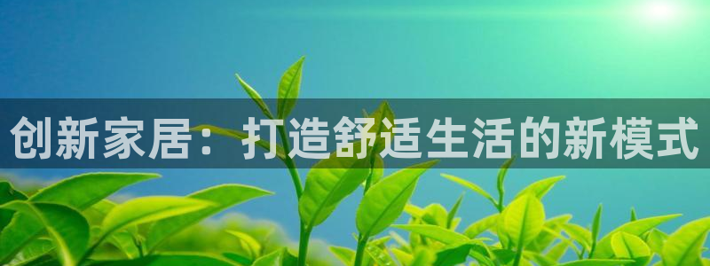 安信安盈12最新消息