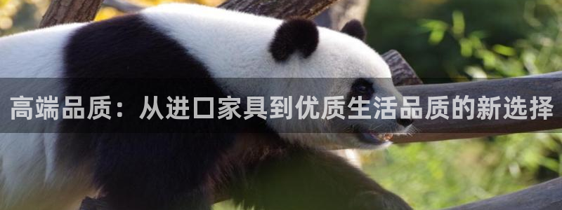 安信12注册登录