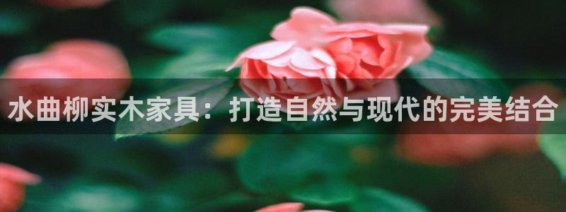 安信t12：水曲柳实木家具：打造自然与现代的完美结合