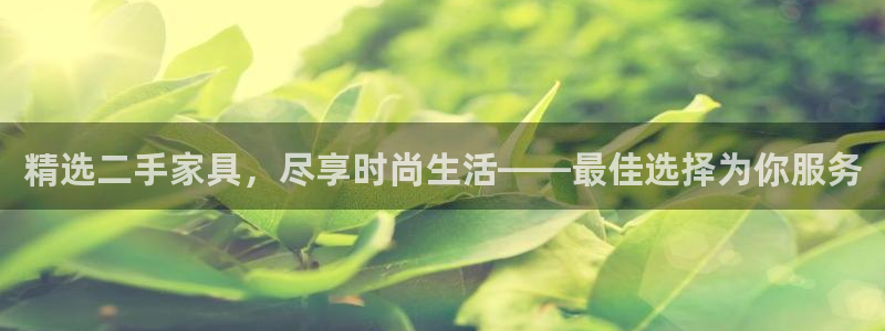 安信12是什么软件