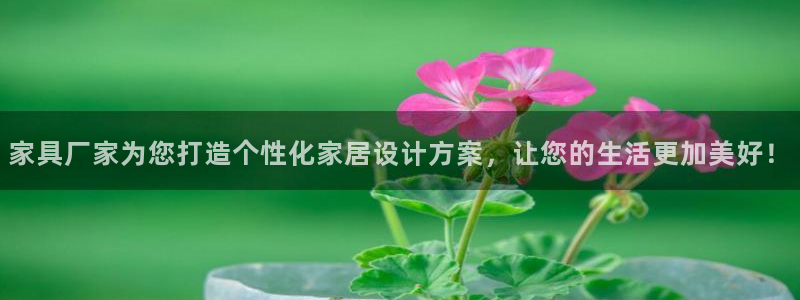 安信安盈12最新消息
