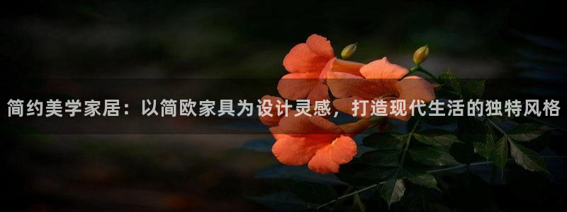 奇安信12流转场：简约美学家居：以简欧家具为设计灵感，打造现