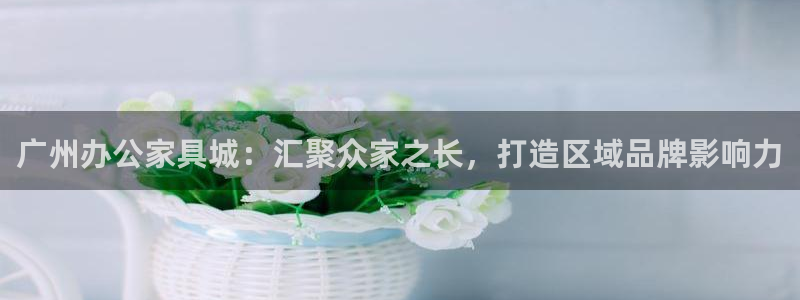 安信主管su金12手12指tq