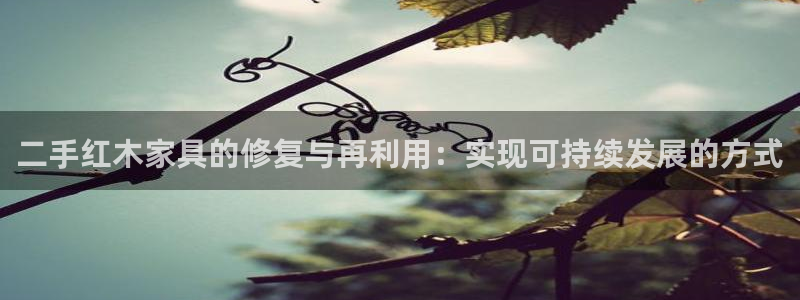 安信12想开户