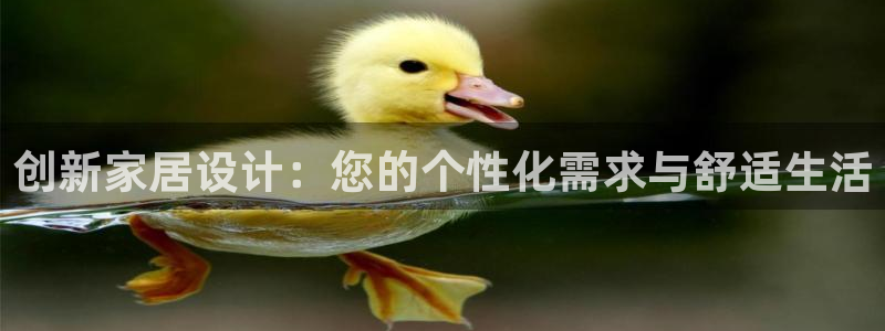 安信12级灯牌