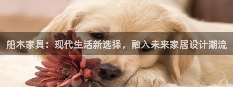 安卓12微信