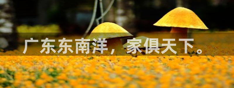 安信12是做什么