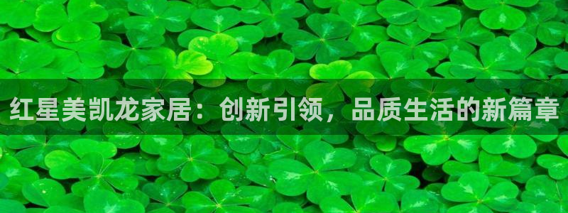 安信12代理