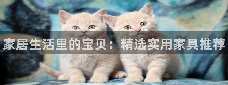 安信12平台注册