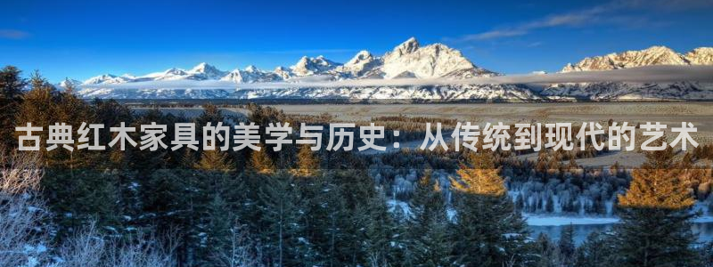 安信12娱乐注册