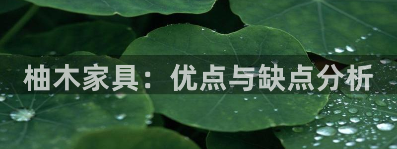 安信12平台的网址