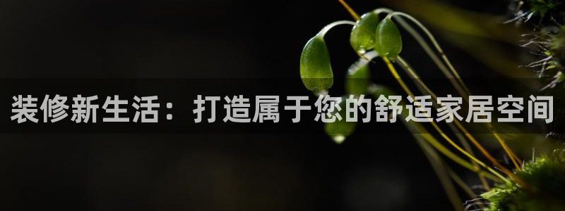 安信12位资金账号